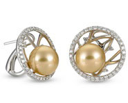 South Sea Pearl Earring E2433. South Sea Pearl Earring E2433, Pearl Earrings. Pearl Jewelry. Top Diamonds & Jewelry