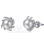 South Sea Pearl Earring E2215. South Sea Pearl Earring E2215, Pearl Earrings. Pearl Jewelry. Top Diamonds & Jewelry